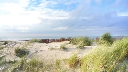 5x de mooiste stranden van Nederland-09